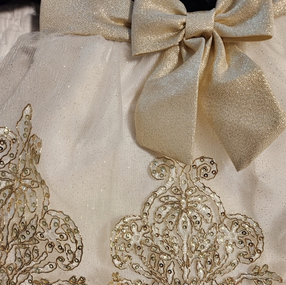 Rare Editions Holiday Dress 12-18 months - Picture 6 of 6